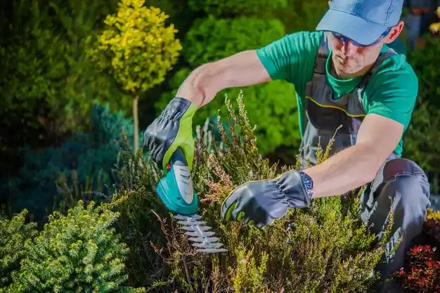 landscaping services Rockwood
